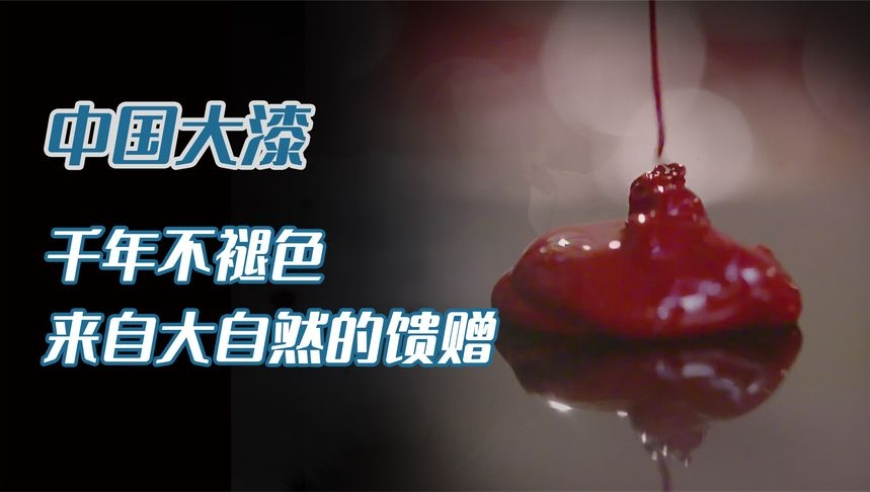 2025澳门开码结果查询最新消息,鸟语花香有画面了,广泛的解释落实支持计划_GM版V2.9